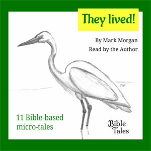 Bible Tales Books Audio: They Lived! (Bible-based fiction)