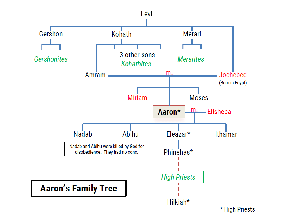 Image result for aaron bible family tree