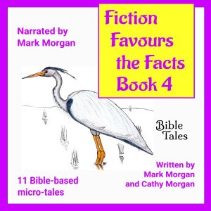 Audiobook cover: Fiction Favours the Facts – Book 4
