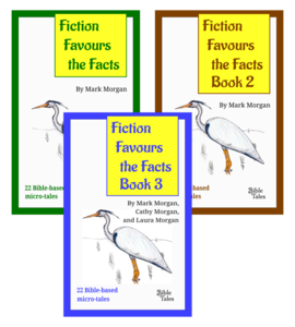 Fiction Favours the Facts Books 1 to 3: Bible-based microtales – eBooks