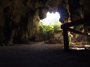 Cave entrance, Naracoorte, South Australia by Andrew McMillan (Public Domain) (see https://commons.wikimedia.org/wiki/File:Cave_entrance_naracoorte_south_Australia.jpg)
