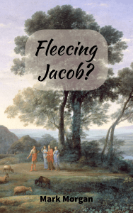 Book cover: Fleecing Jacob? by Mark Morgan
