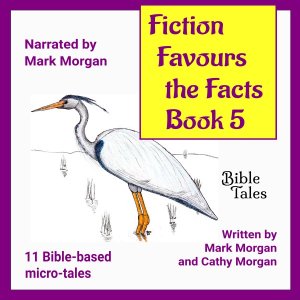 Audiobook cover: Fiction Favours the Facts – Book 4